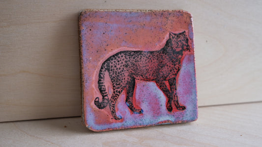 "Disco Kitty" coasters