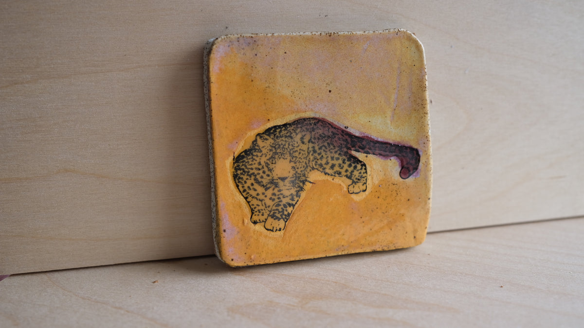 "Disco Kitty" coasters